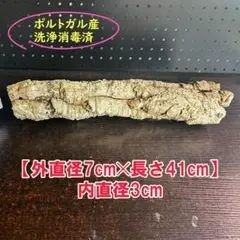 2026年最新】コルク樹皮 キャノンの人気アイテム - メルカリ