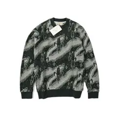 Item thumbnail for item 0c5570b5-92b5-45d9-8ce6-e1111ab6dd08