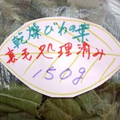 Item thumbnail for item 2faa6e64-e200-4614-9f2e-39b5f40b3fd7