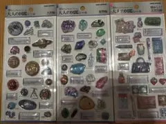 3Dシールセット 大人の図鑑シール