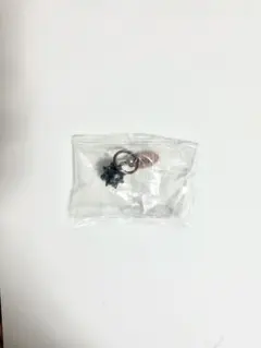 鬼滅の刃 悲鳴嶼行冥 キーホルダー ガチャ