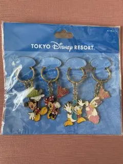 東京ディズニーリゾート ディズニープリンセスキーホルダー5個セット