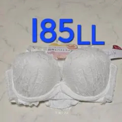 244　新品　I85　LL　ブラジャー＆ショーツセット