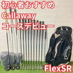 初心者向けメンズゴルフセットAPEX PROアペックスEPICラザー - メルカリ