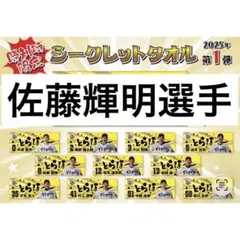 2005ロッテマリーンズ限定761投魂バスタオル自筆サイン入り10名横120cm 