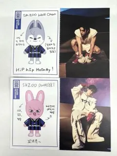 straykids KARMA skzoo トレカ バンチャン チャンビン