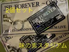 2個 三代目 会場限定 JSB FOREVER ONE カードキーホルダー
