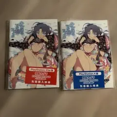 閃乱カグラ ESTIVAL VERSUS 少女達の選択 先着購入特典 2種