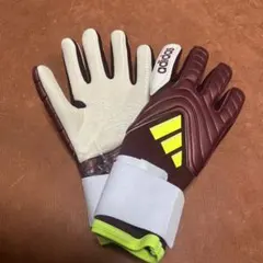 Item thumbnail for item 520c4414-9b5d-42d0-b17a-b6dd0be47f5b