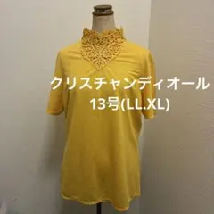 クリスチャンディオール半袖のサムネイル
