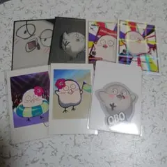 cr CRAZY RACCOON Obo　セット