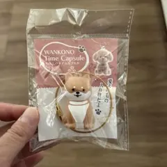 わんこのタイムカプセル　まめ