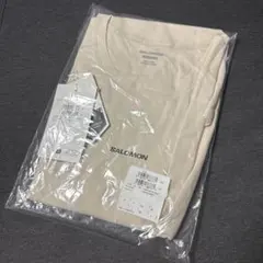 SALOMON Tシャツ Lサイズ RAINY DAY