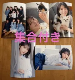 LOVE イコラブ 佐々木舞香 カレンダー ブロマイド 生写真 4種セット