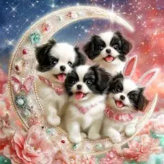 パネル生地　新柄　犬8柄　即購入⭕️