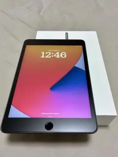iPad mini5 64GB Wi-Fi スペースグレー 箱付き