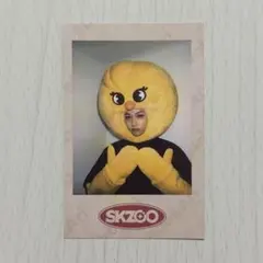 Stray Kids スキズ SKZOO ポラロイド トレカ ポガリ FELIX - メルカリ