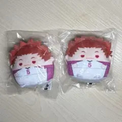天童覚 テンドウワシ おすわりちょこん2 21個 ハイキュー!! ぬいくじ 天童E賞2点 テンドウワシ - メルカリ