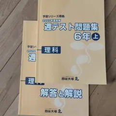 週テスト問題集 6年 上下 社会 夏期講習 6年 夏 実力完成問題集 6年上 2026年最新】週テスト問題集 6年の人気アイテム - メルカリ