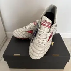 Item thumbnail for item 74c63314-a66e-4950-b5aa-8768d7a2c19d