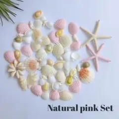 貝殻セット　シェル　貝殻アソート　ピンク　工作　ハンドメイド　材料　パーツ　海