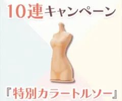 코토부키야 쿠지 창채소녀정원 특전 특별 컬러 토르소