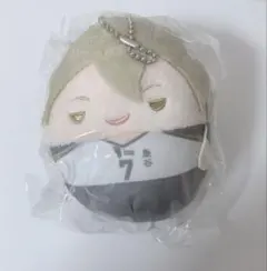 ハイキュー くじメイト D賞 ふわコロりん 木葉秋紀