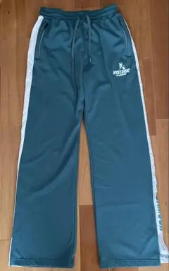 Item thumbnail for item a1094d68-b53a-422b-897e-1d10eb7ea78f