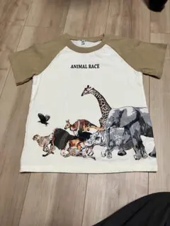 Item thumbnail for item a1d989ed-1807-49e6-a006-04497b9328f6