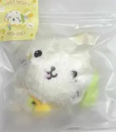 NCT WISH POCKET WISH DOLL リョウ 公式 リョンリョン - メルカリ