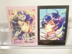 あくねこ　ボスキ・アリーナス　パシャこれ　サイン入り