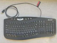 マイクロソフト Comfort Curve Keyboard 2000 v1.0