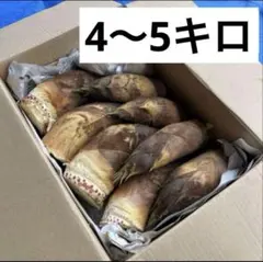 京都山城産 朝掘り筍 - メルカリ
