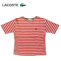 ラコステ ボーダー半袖Tシャツ レディース SIZE 38 (M)