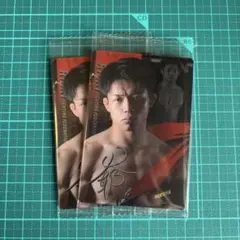 【新品未開封】RIZINウエハース'25 No.27 ヒロヤ