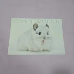 Item thumbnail for item 2270374d-dda7-45da-9860-65c5378c6177