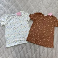 Item thumbnail for item bfee08fe-f5b3-47ea-8e22-4d0337a664a4