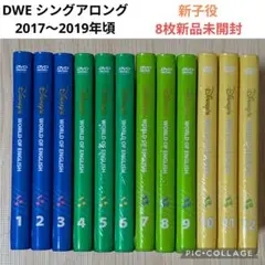 124‐⑦DWE ディズニー英語システム シングアロングDVD