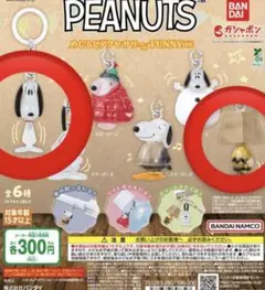 PEANUTS めじるしアクセサリー FUNNY ver. スヌーピーチャーリー