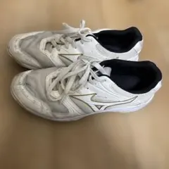 Mizuno バレーボールシューズ 28.0cm ホワイト/ゴールド