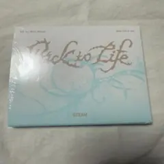 新品未開封！&TEAM Back to Life Mini CD-R