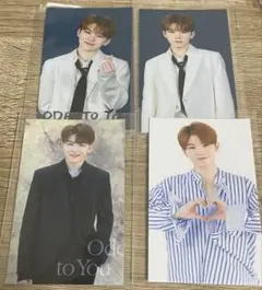 seventeen ode to you World tour ウジ