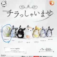 チラっしゃいませ　ホワイト