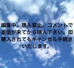 adidas スポーツバッグ ショルダー