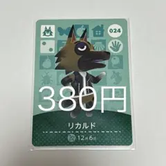 リカルド キャラクターカード 024