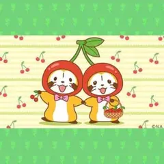 Naonao270325 様　専用ぺージ