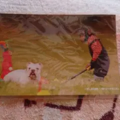 2025年最新】志村動物園ぱんくんの人気アイテム - メルカリ