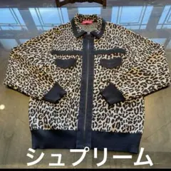 Item thumbnail for item a98f6530-1d3f-4369-a1f2-baf4dd7ae30c