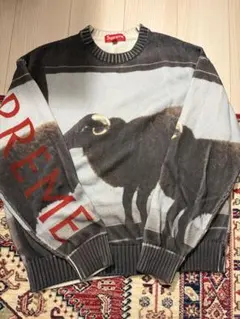 2026年最新】supreme ダミアンハースト セーターの人気アイテム - メルカリ