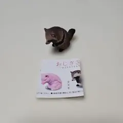 おじぎさん 3礼 タヌキ